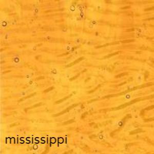 Kokomo 144MS Medium Amber Clear Mississippi