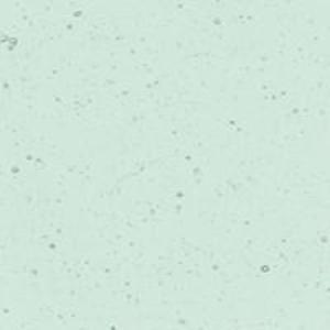 Kokomo 509 Light Blue Green