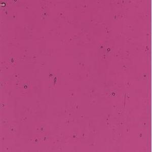 Kokomo 807 Medium Purple